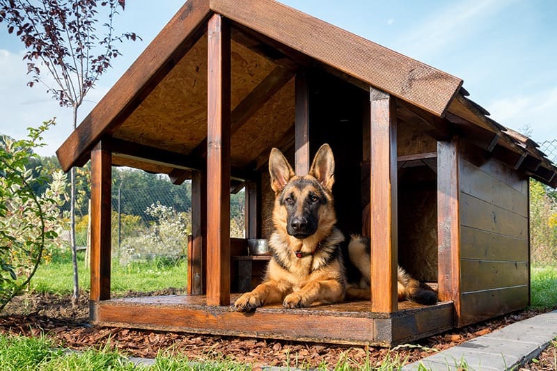 Really nice hot sale dog houses